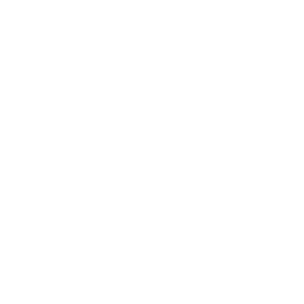 Logo SPI Branca